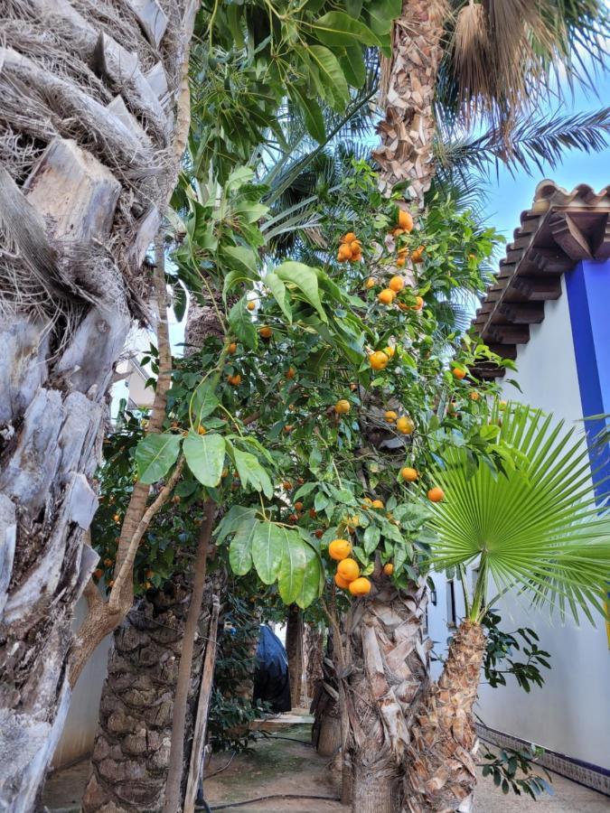 Apartament Dudek Torrevieja Ngoại thất bức ảnh